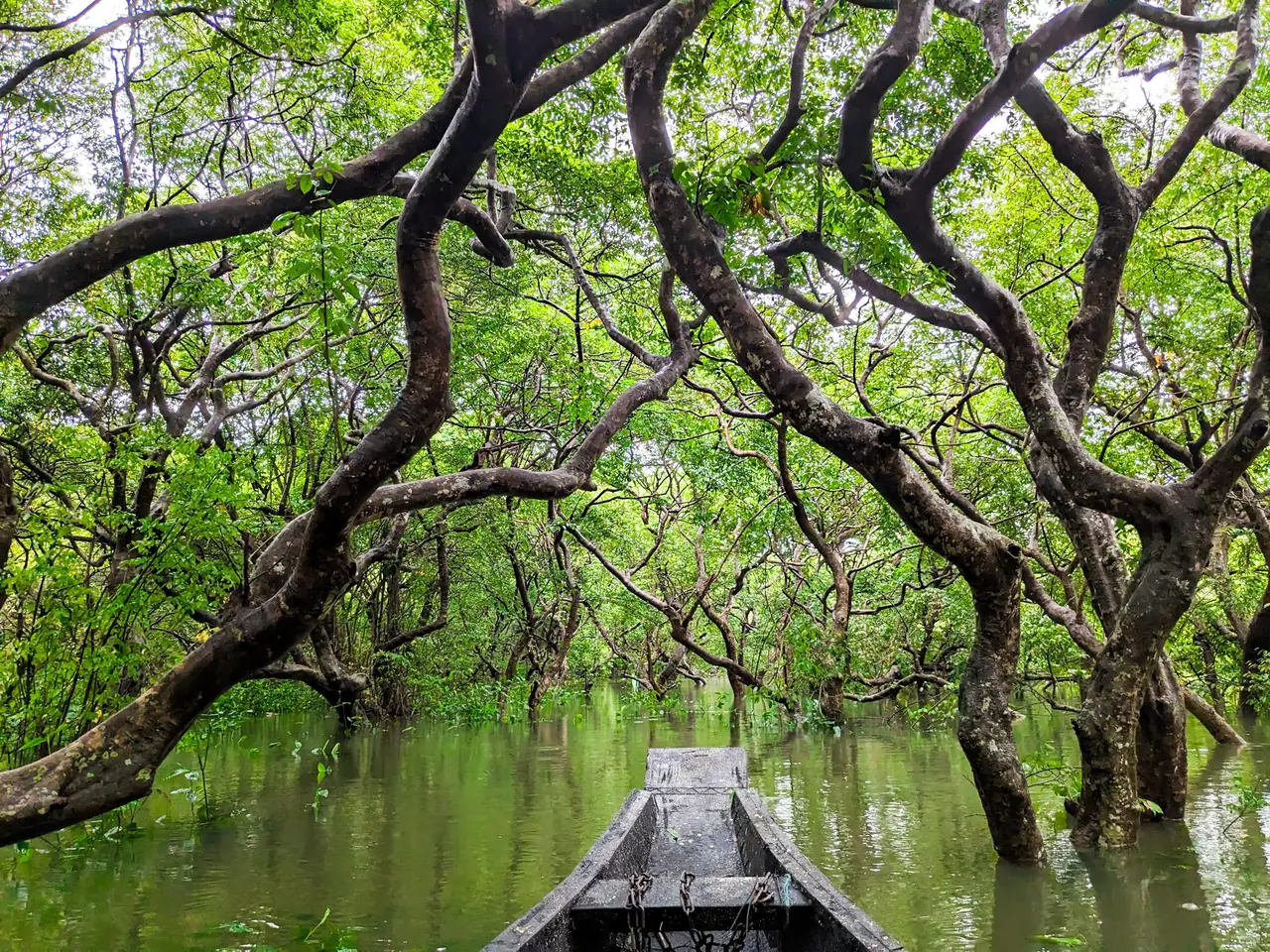 Sylhet, Sylhet Division